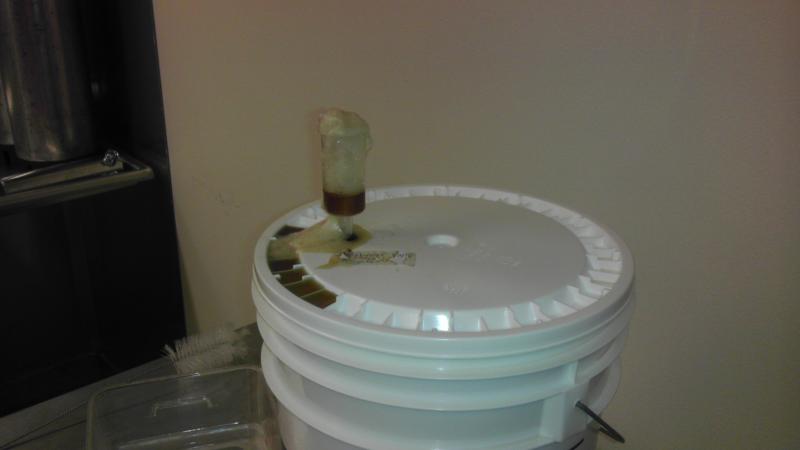 fermentation.jpg