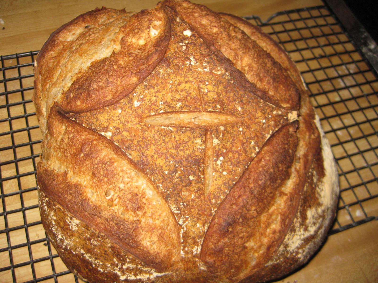 rustic levain 12-16.jpg