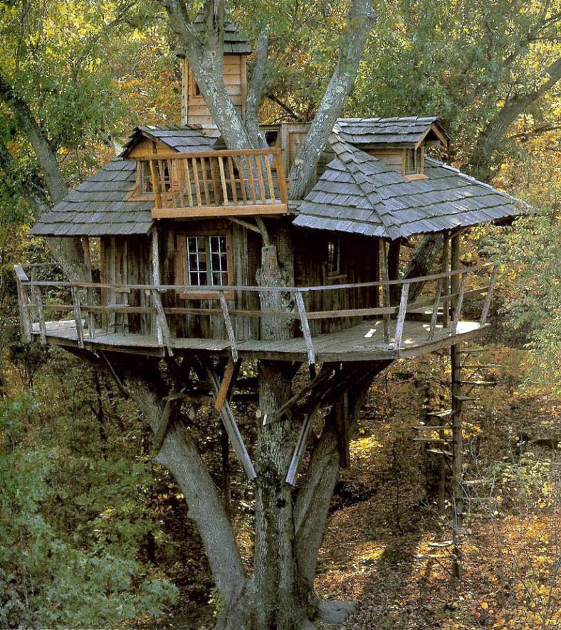 Tree House 1.jpg