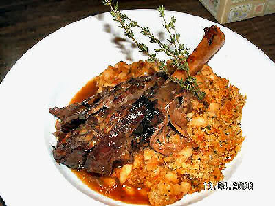 lamb1.jpg