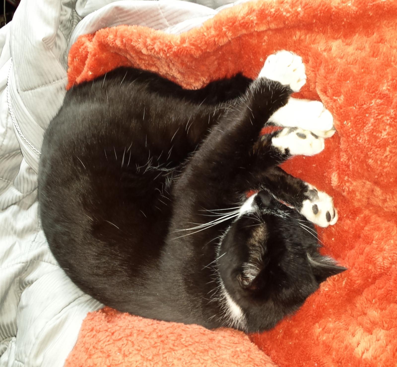 20170221_093011.jpg
