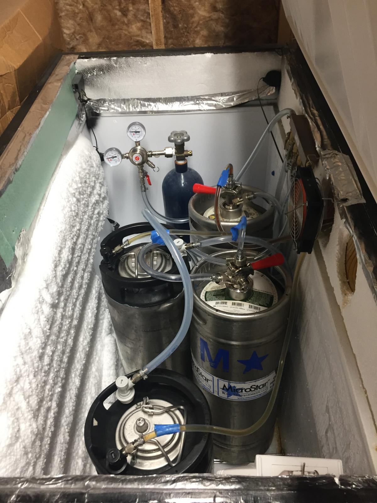 kegs in keezer.jpg
