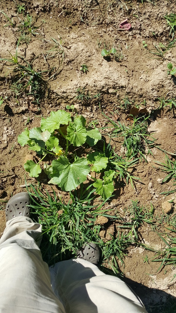 20171005_144453.jpg