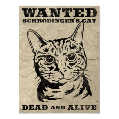 schrodinger.jpg