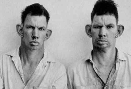 hillbillies2.jpg