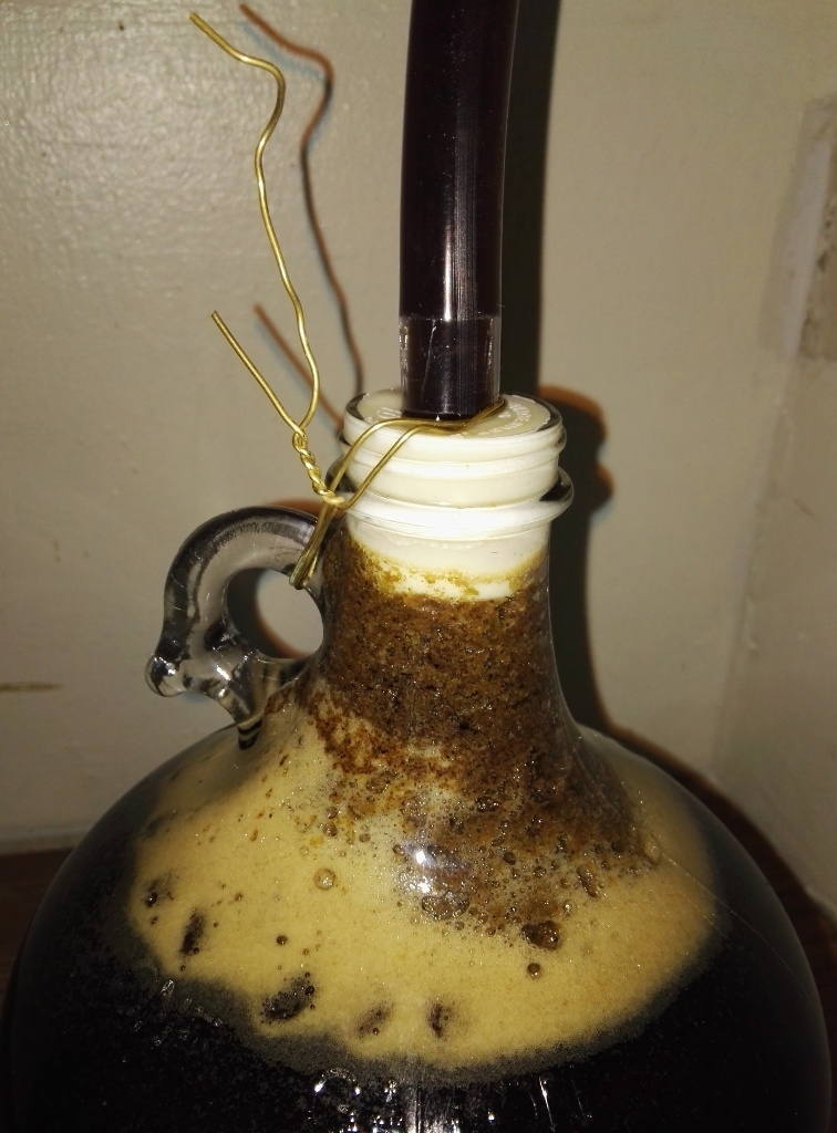 bung.jpg