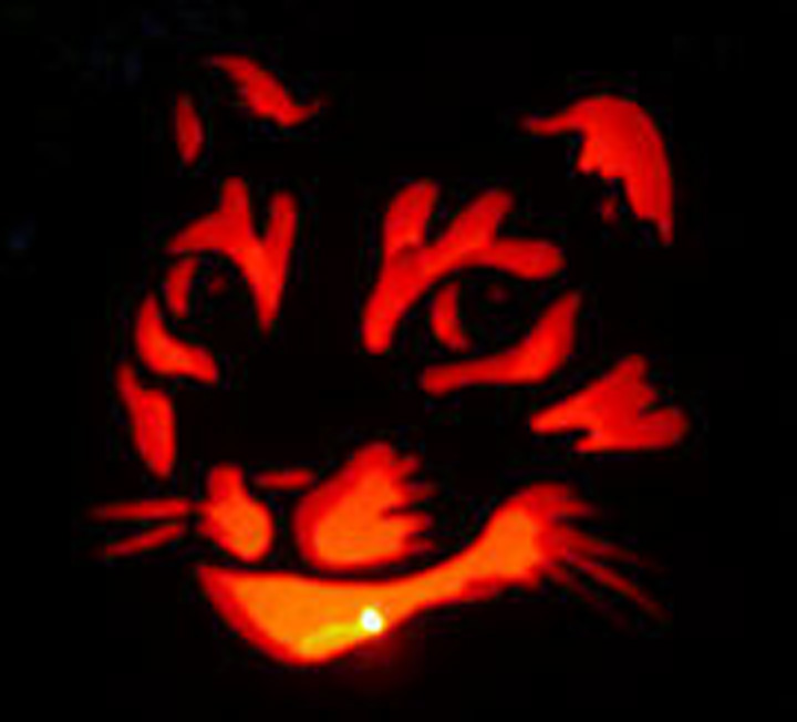 CatOLantern2.jpg