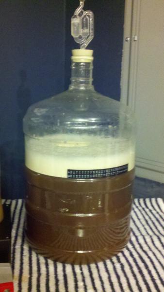 sp amber ale.jpg