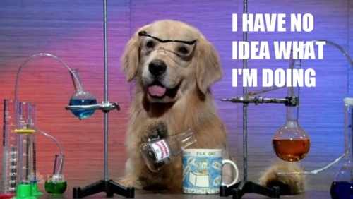 no idea dog.jpg