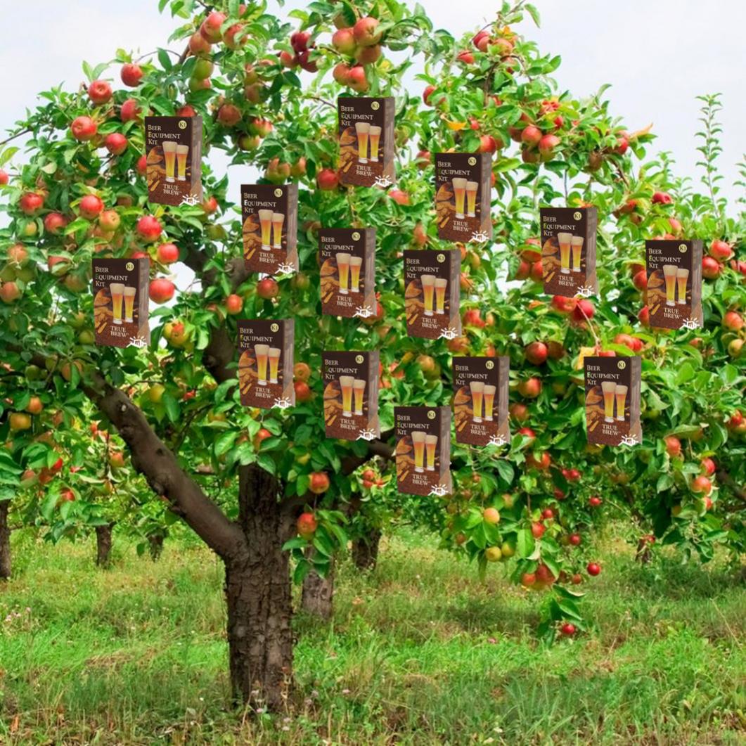 tree.jpg