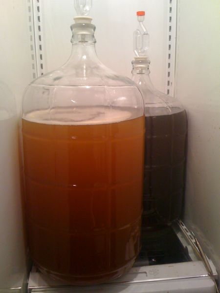 lagering fridge