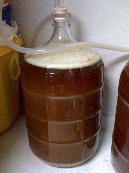 Stone Ruination six hours after pitching.