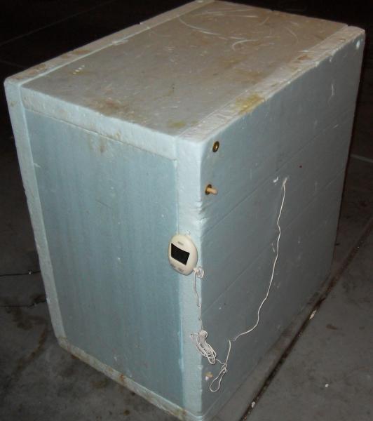 SDC10377