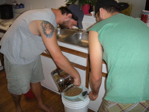 steeping the grains