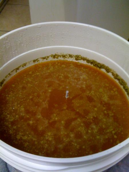 First Batch taking a gravity reading