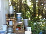 My new Brew system