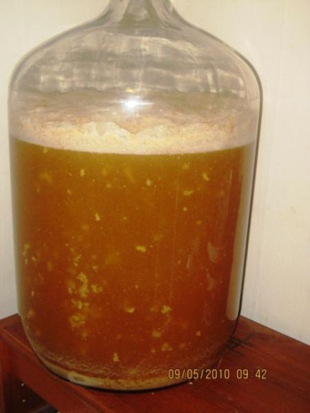 Belgian Blonde 14 hours after pitching.