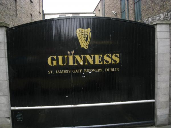 IMG 0335