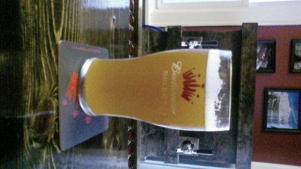 My 1st beer out of it..