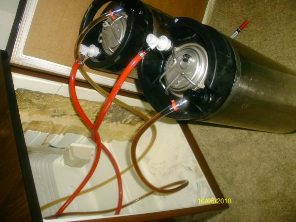 Chocolate Stout and a Red on tap