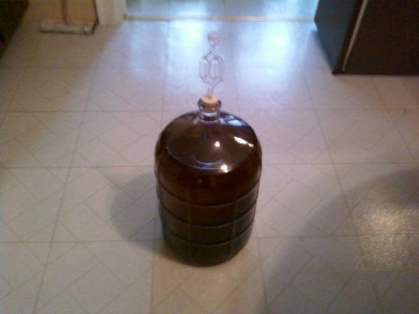 pear cider in carboy