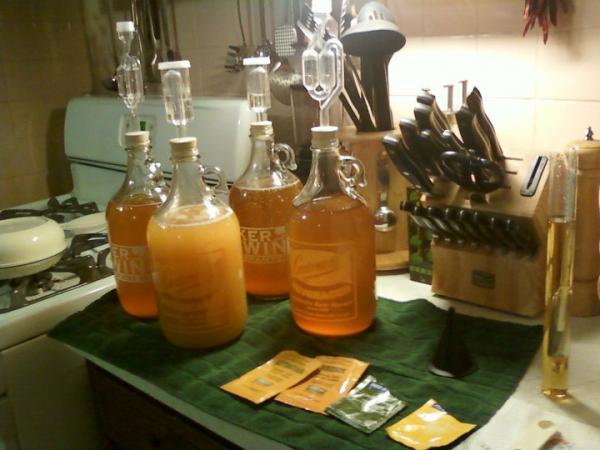 cider trials