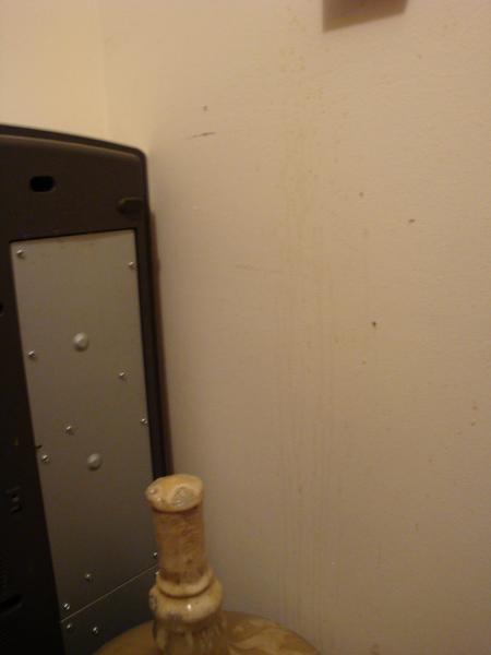 I sure wasn't expecting the Kolsh 2 strain to go this nuts, this is 10 hours after brewing.