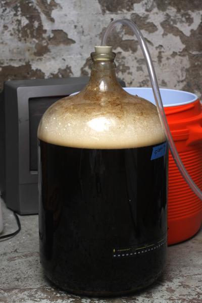 3rd brew ever. 
Washed 1084 wyeast/1L starter
