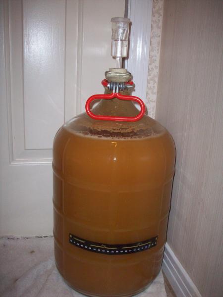 Honey Kolsch
