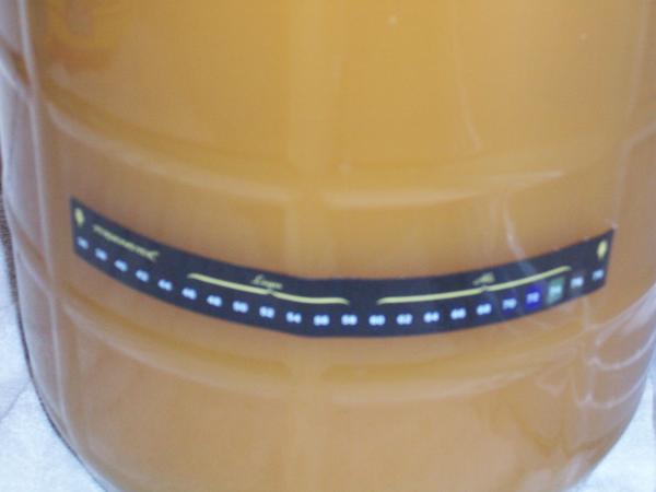 Honey Kolsch - High Fermentation Temps...  Ahhh....