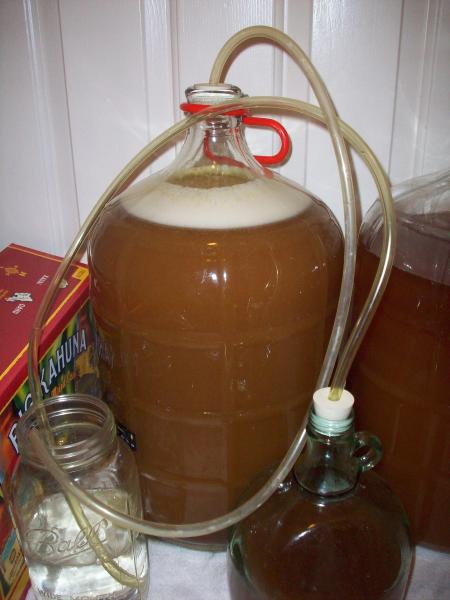 Cent PA - Fermentation Starting after 4 hours