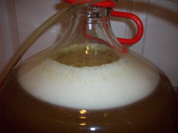 Cent PA - Fermentation Starting after 4 hours