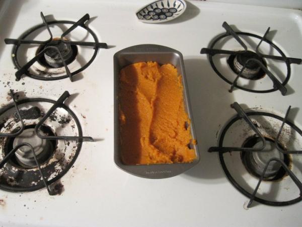 pumpkin