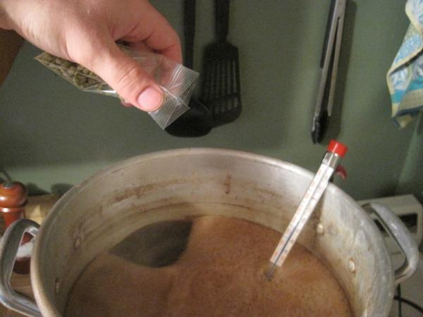 bittering hops
