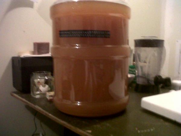 pumpkin ale secondary