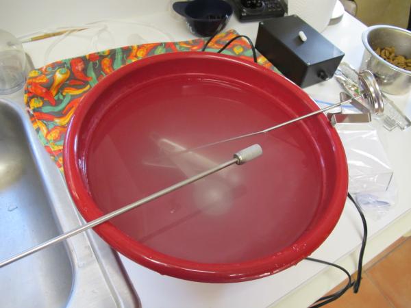 Sanitizing the air stone