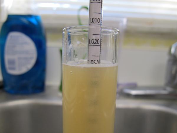 OG 1.030