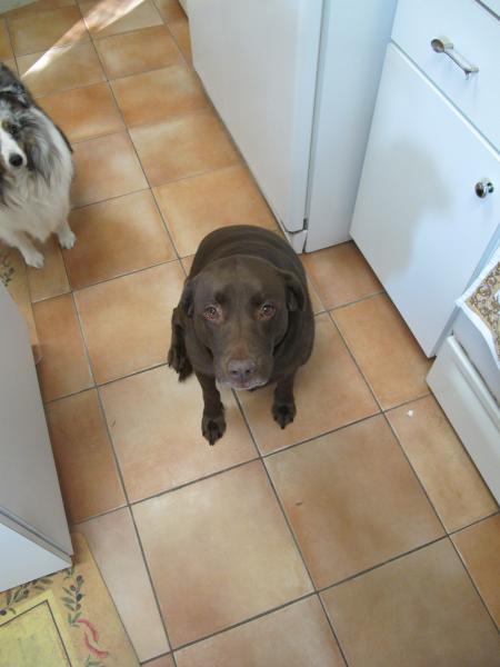 Maggie