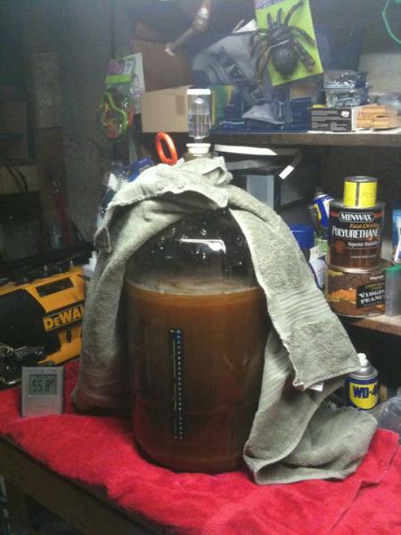 Right after the yeast was added to the Wort - hopefully in about three weeks we'll have a Belgian Ale.