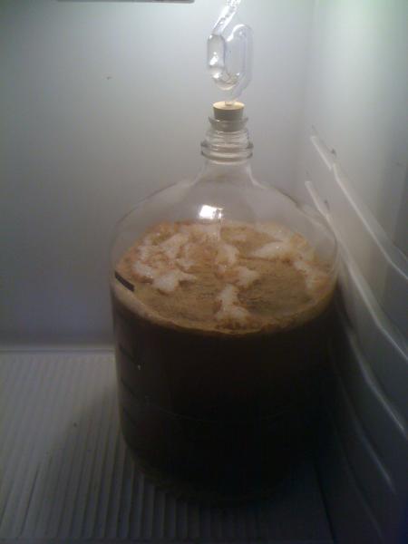 mmmmm...beer!