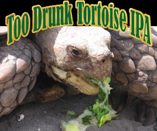 TortoiseLabel 1