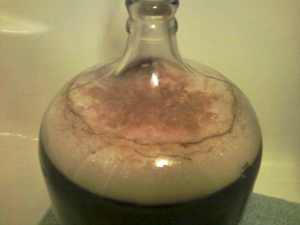 Cannonball Porter