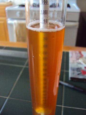 Hefe 5 days - gravity