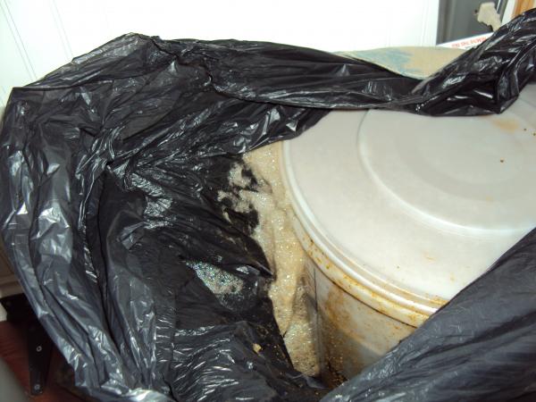 this was my first site as I pulled the bag back