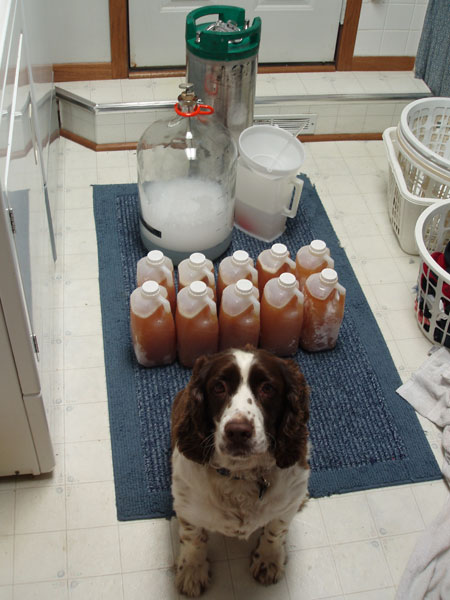 Homemade apple cider and Murphy