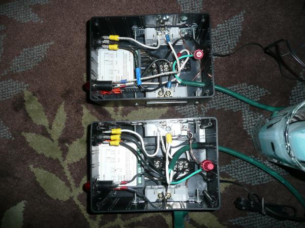 the innards