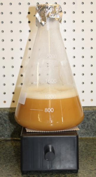 Small 1000ml Starter