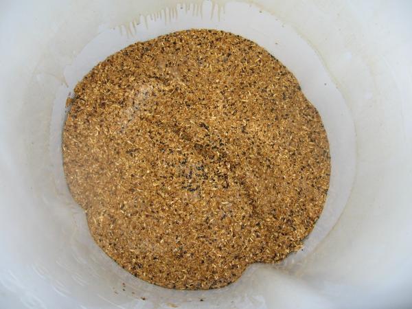 Mashed Grains from my brown porter
