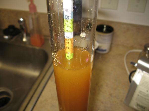 Hydrometer Reading of the Belgian Pale Ale pre-fermentation