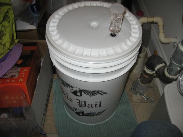 Irish Red fermenting in the pantry.